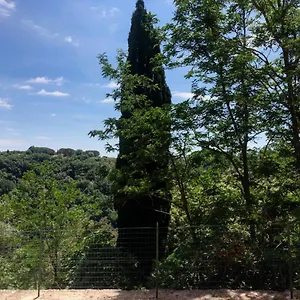  Appartement La Casa All'oliveto